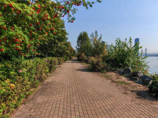 Discover a serene waterfront lifestyle with this stunning property featuring a beautifully paved walkway leading to the water's edge.