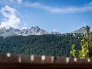 Experience breathtaking mountain views from this stunning property nestled amidst a lush pine forest.