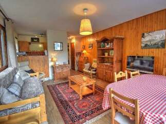 Experience cozy living in this charming mountain retreat, featuring a warm wooden interior and a comfortable living area with a plush sofa.
