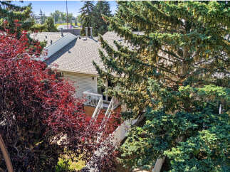 Discover this charming home featuring a beautiful backyard oasis, perfect for outdoor entertaining and relaxation.