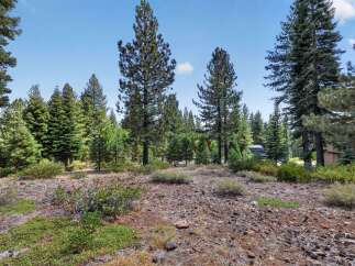 Discover a prime piece of land nestled amongst mature pine trees, offering a serene and private setting.