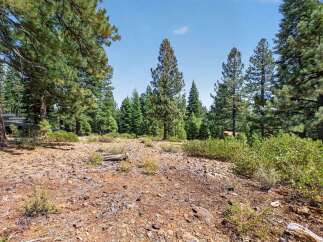 Discover this picturesque wooded lot, perfect for building your dream home amidst the serene beauty of nature.