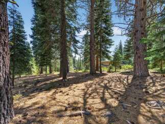 Nestled amongst towering pine trees, this property offers a serene and private retreat.