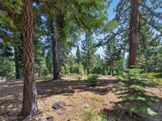 Nestled amongst towering pine trees, this property offers a serene and private wooded setting.