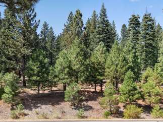 Nestled amidst a serene forest of mature pine trees, this property offers a tranquil and private setting.