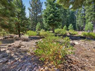 Discover a serene mountain retreat with this stunning property, nestled amongst mature pine trees and lush green foliage.