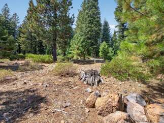 Discover the natural beauty of this wooded lot, perfect for building your dream home or a serene getaway.