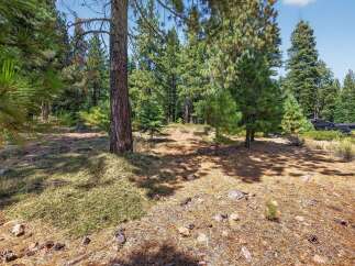 Discover this picturesque wooded lot, perfect for building your dream home amidst towering pine trees.
