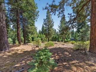 Discover your dream home nestled among towering pine trees, offering a serene and private forest setting.