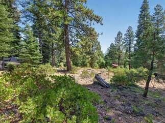 Nestled amongst tall pine trees, this property offers a serene and private wooded setting.