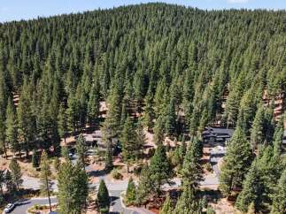 Nestled amidst a dense forest of mature pine trees, this property offers a serene and private retreat.
