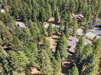 Nestled amidst a dense forest of mature pine trees, this property offers a secluded and serene living experience.