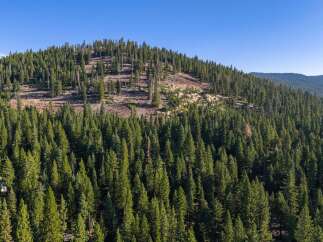 Discover your dream mountain retreat nestled amidst a dense forest of mature evergreen trees.