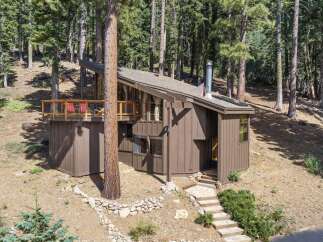 Nestled amidst towering pine trees, this charming cabin offers a serene mountain retreat.