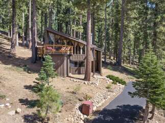 Nestled amidst towering pine trees, this charming A-frame cabin offers a serene mountain retreat.