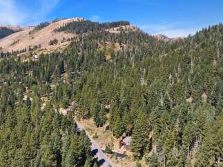 Nestled amidst a dense forest of towering pine trees, this property offers a secluded mountain retreat.