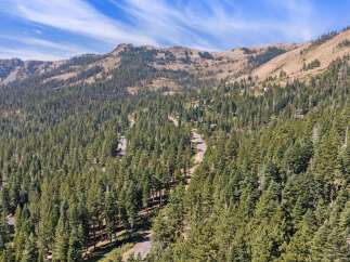 Nestled amidst a dense forest of evergreen trees, this property offers a serene mountain retreat.