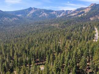 Nestled amidst a dense forest of towering pine trees, this property offers a serene mountain retreat.