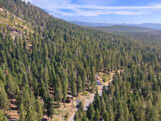 Nestled amidst a dense forest of towering pine trees, this property offers a secluded mountain retreat.