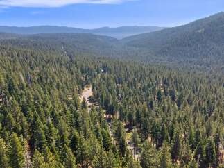 Discover your dream mountain retreat nestled within a vast, private forest.