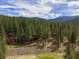 Nestled amidst a dense forest of tall pine trees, this property offers a serene and private retreat.