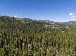 Nestled amidst a dense forest of evergreen trees, this property offers a secluded mountain retreat.