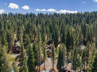 Nestled amidst a dense forest of towering pine trees, this property offers a serene and private mountain retreat.