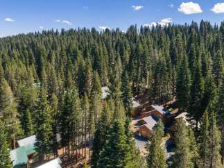 Nestled amidst a dense forest of towering pine trees, this property offers a serene and private retreat.