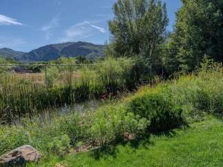 Discover a serene oasis with this charming property, featuring a tranquil pond surrounded by lush greenery and vibrant wildflowers.