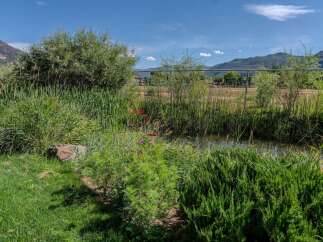 Discover a serene oasis with lush greenery and a tranquil water feature, perfect for relaxation and outdoor enjoyment.