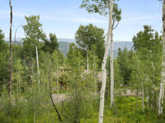 Nestled amidst a serene aspen grove, this property offers a tranquil retreat with stunning mountain views.