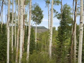 Nestled amidst a serene aspen grove, this property offers a tranquil escape with stunning natural beauty.
