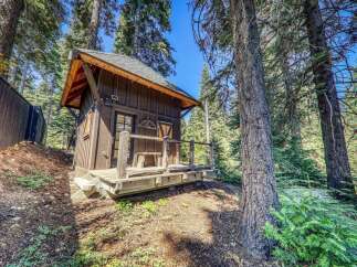 Escape to this charming rustic cabin nestled amongst tall pine trees, offering a serene mountain getaway.