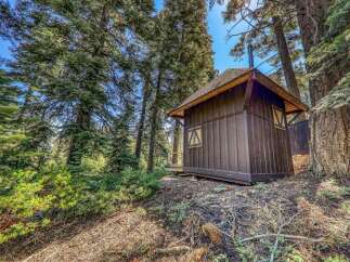 Escape to this charming rustic cabin nestled amongst towering pine trees, offering a serene forest retreat.