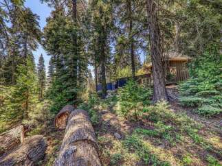 Nestled amidst a serene forest, this property offers a unique cabin-like dwelling surrounded by mature trees and natural beauty.