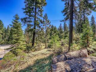 Nestled amidst a serene forest, this property offers a tranquil escape with mature pine trees and lush greenery.