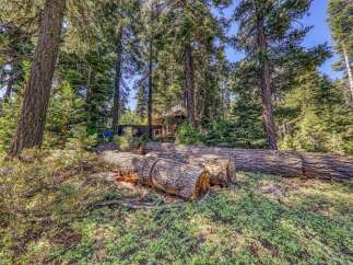 Nestled amongst towering pines, this property offers a serene escape with a unique rustic charm.
