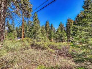 Nestled amidst a lush forest, this property offers a serene escape with towering pine trees and abundant natural beauty.