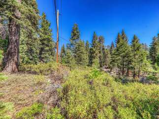 Discover this stunning property nestled amidst a lush forest of mature pine trees, offering unparalleled privacy and natural beauty.