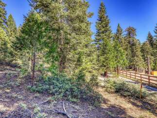 Nestled amidst towering pine trees, this property offers a serene and private wooded setting.