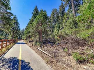 Discover a serene pathway winding through a lush forest, perfect for outdoor enthusiasts.