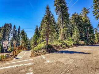 Discover the serene beauty of this property, nestled amidst towering pine trees and lush greenery.