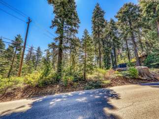 Nestled amongst towering pine trees, this property offers a serene and private mountain retreat.