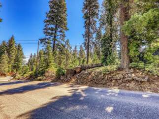 Discover a serene mountain retreat surrounded by towering pine trees and lush greenery.