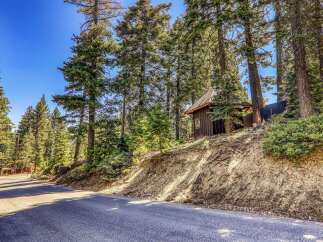 Nestled amidst towering pine trees, this charming cabin offers a serene mountain retreat.