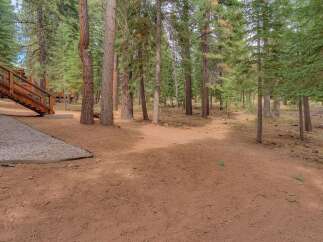 Nestled within a serene pine forest, this property offers a unique blend of natural beauty and modern living.