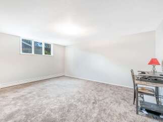 This spacious room features a large window offering natural light and a cozy carpeted floor.