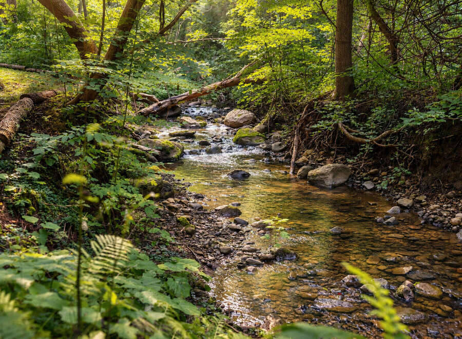 Discover a serene natural retreat with this stunning property, featuring a babbling brook winding through lush greenery and mature trees.