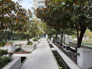 Discover modern urban living with this stunning property featuring a serene courtyard with a water feature and lush magnolia trees.