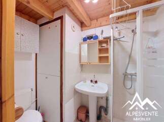 Discover this charming bathroom featuring a practical shower cabin and a pedestal sink, perfect for a cozy mountain retreat.